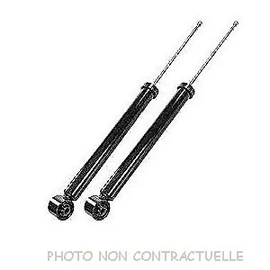bouvier-auto3918129