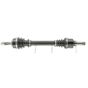 bouvier-auto3924382