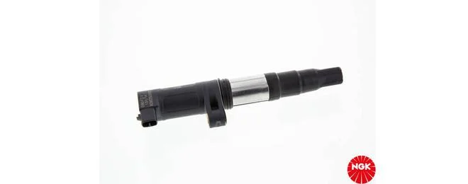 bouvier-auto3933865