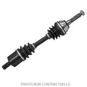 bouvier-auto3935455
