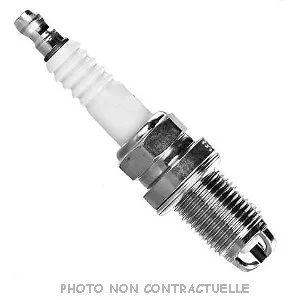bouvier-auto3935769
