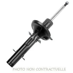 bouvier-auto3935881