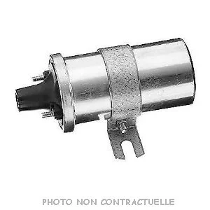 bouvier-auto3938964