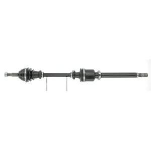 bouvier-auto3939458