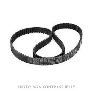 bouvier-auto3940040