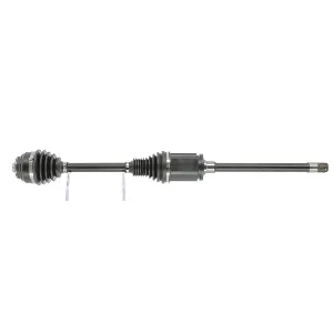 bouvier-auto3945819