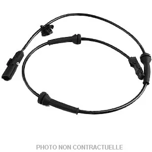 bouvier-auto3951205