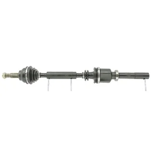 bouvier-auto3960840