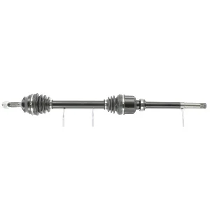 bouvier-auto3963296