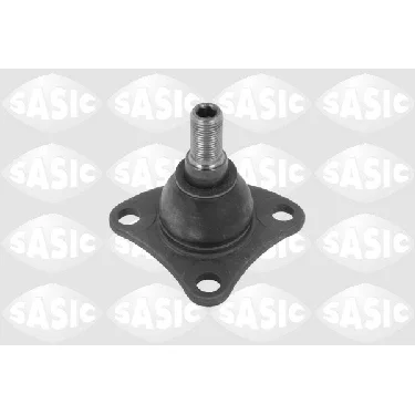 bouvier-auto3964898