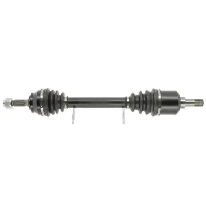 bouvier-auto3969302