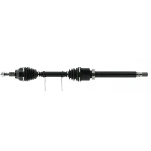 bouvier-auto3970448