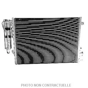 bouvier-auto3971179
