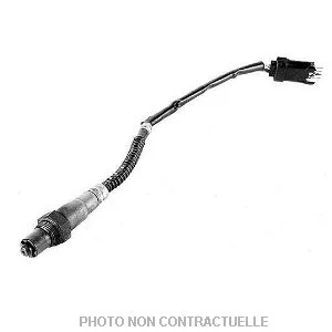 bouvier-auto3978099