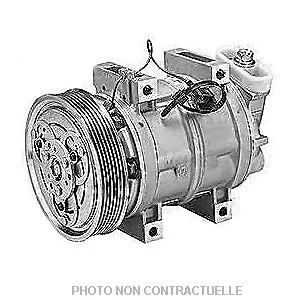 bouvier-auto3985614