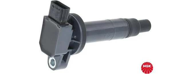 bouvier-auto4004005