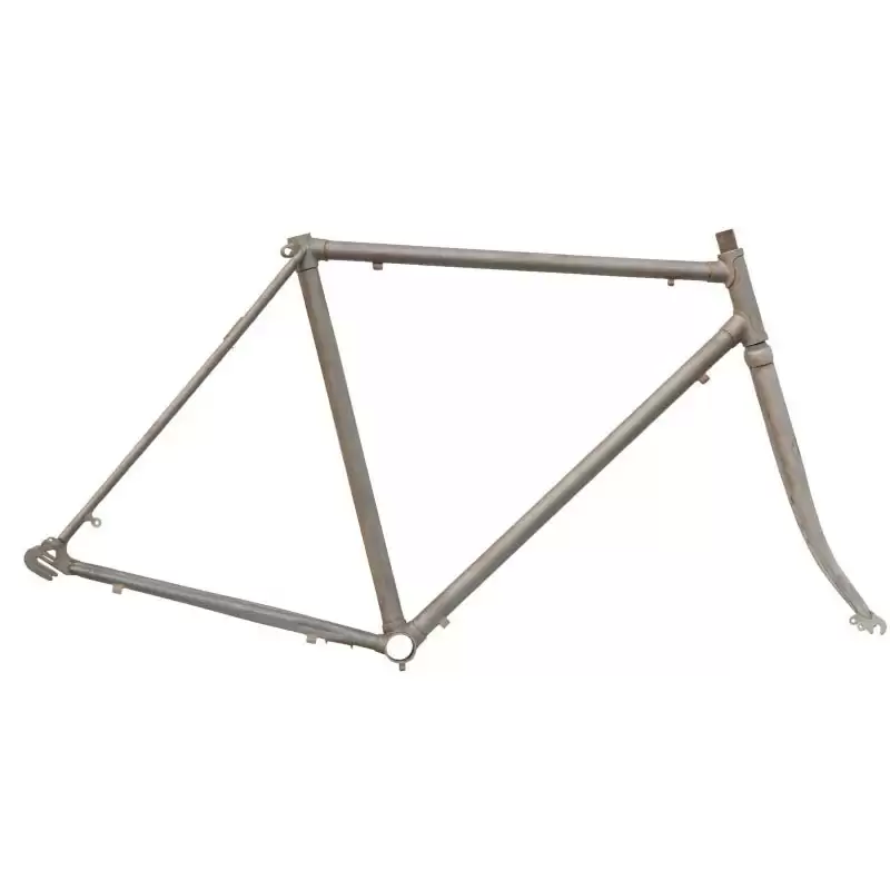 ridewill3379506
