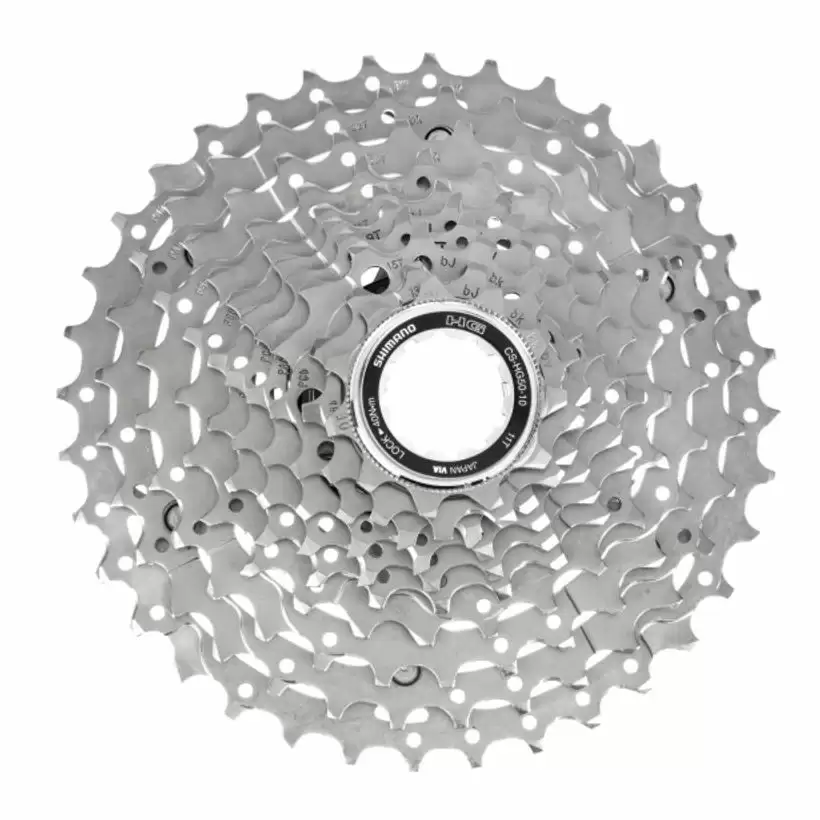ridewill3453137