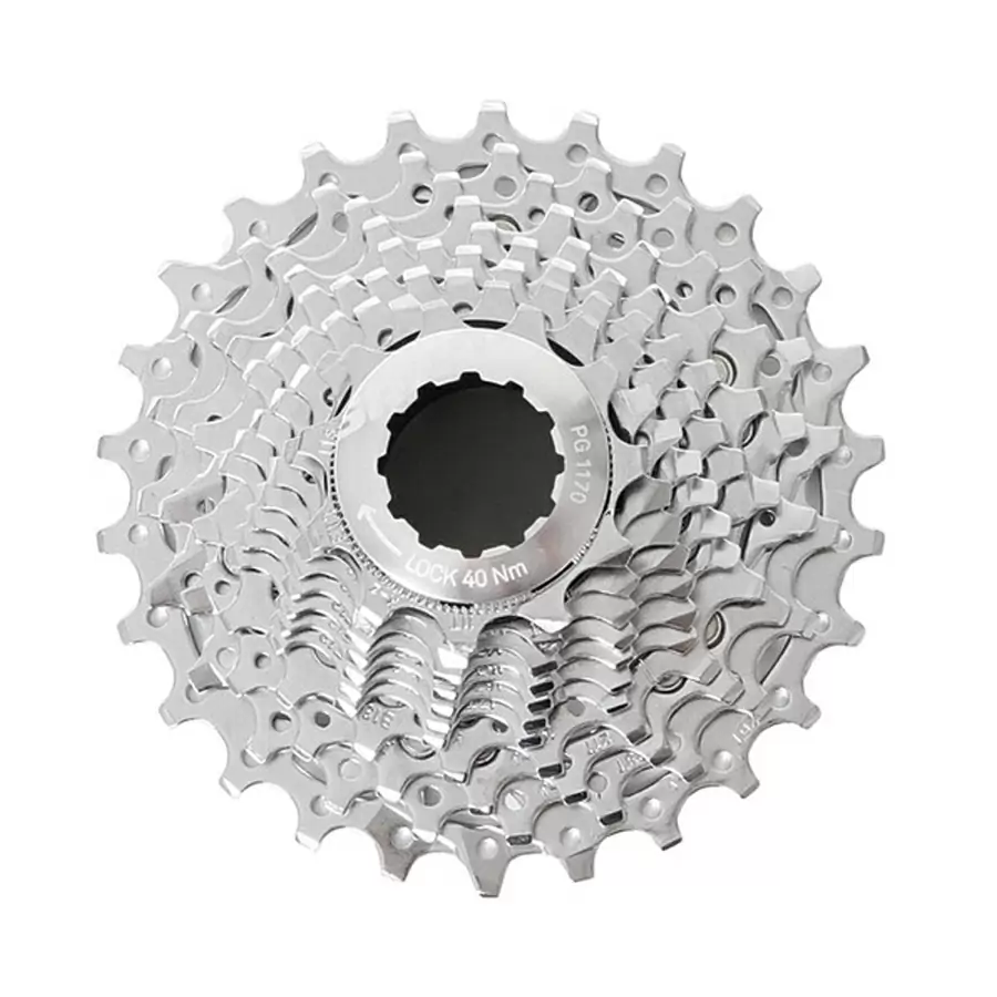 ridewill3482066