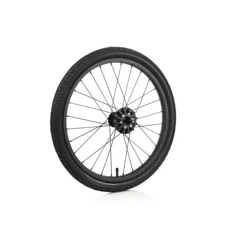 ridewill3495204