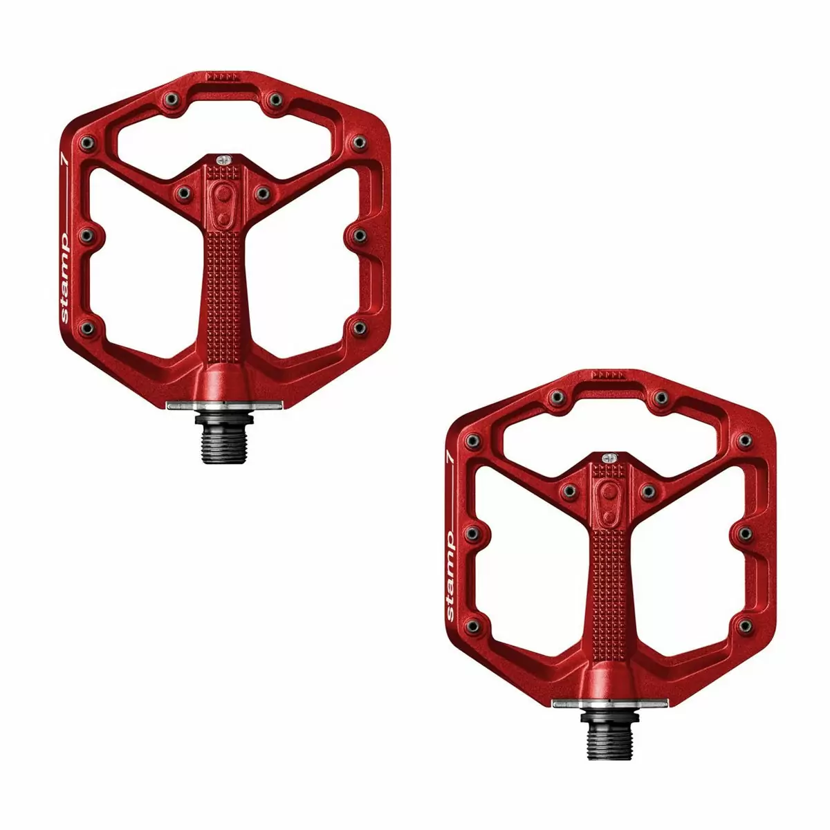 ridewill3502947