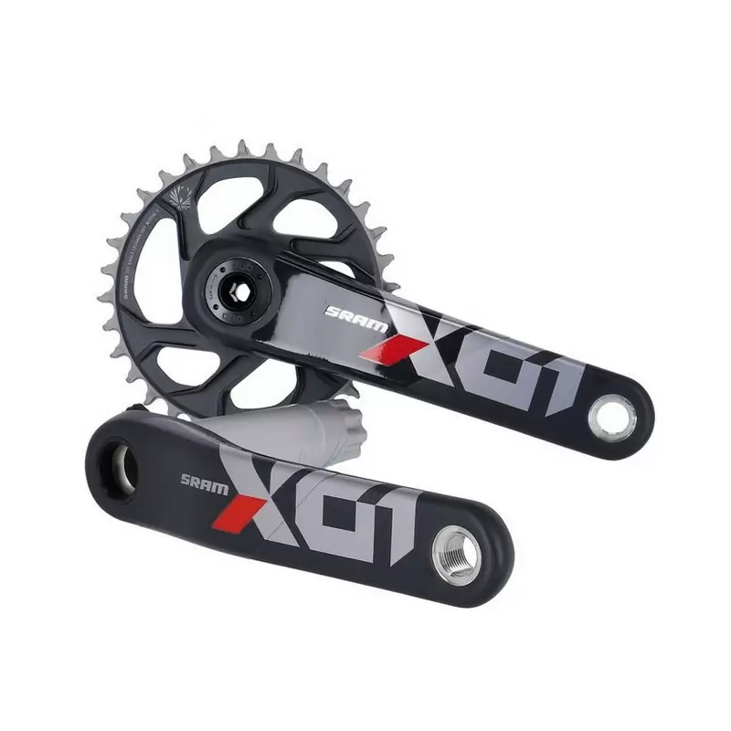 ridewill3556708
