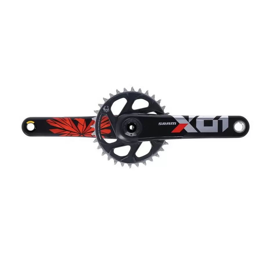 ridewill3556771