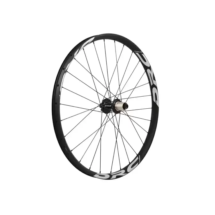 ridewill3567561