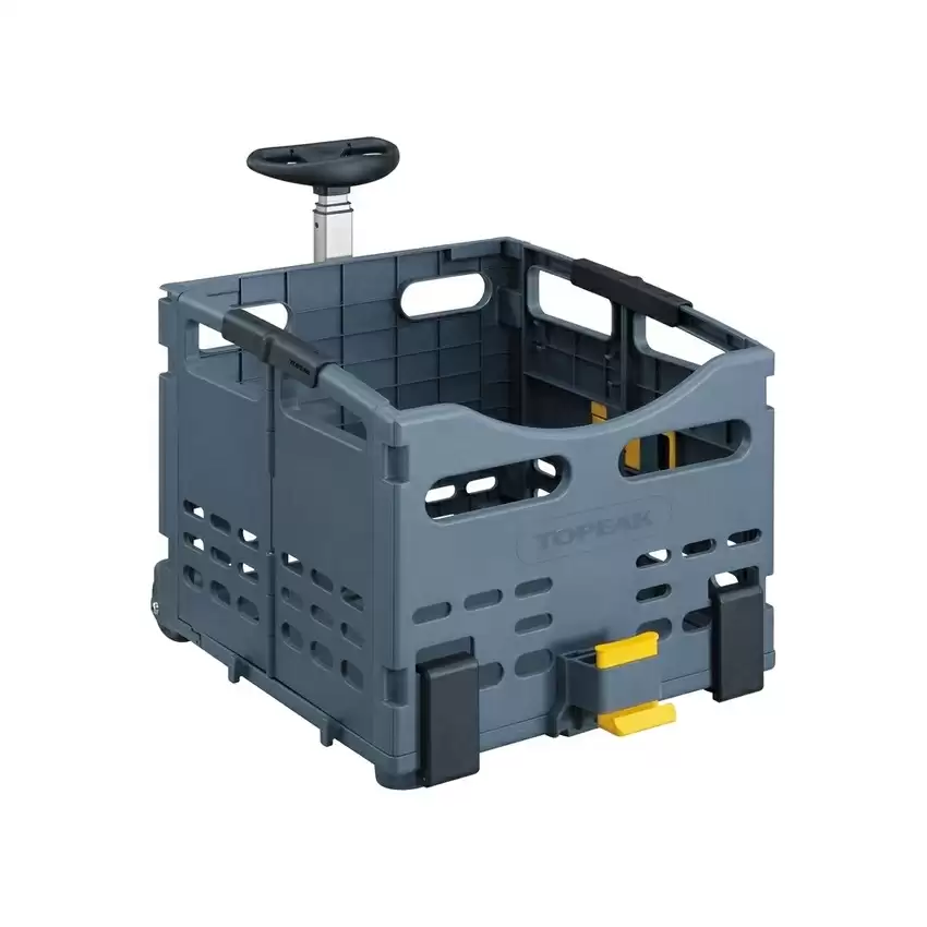 ridewill3585085