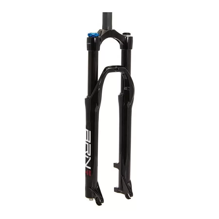 ridewill3641511