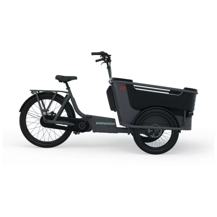 ridewill3650476