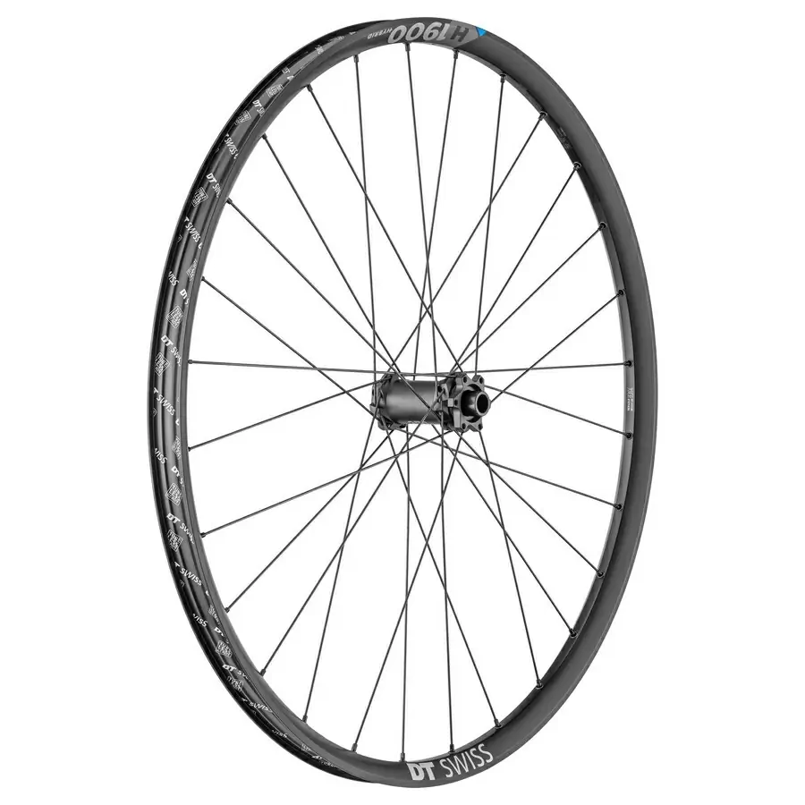 ridewill3667953