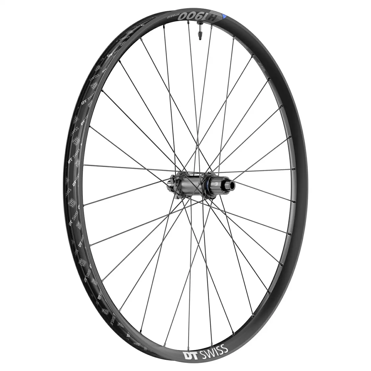 ridewill3678854