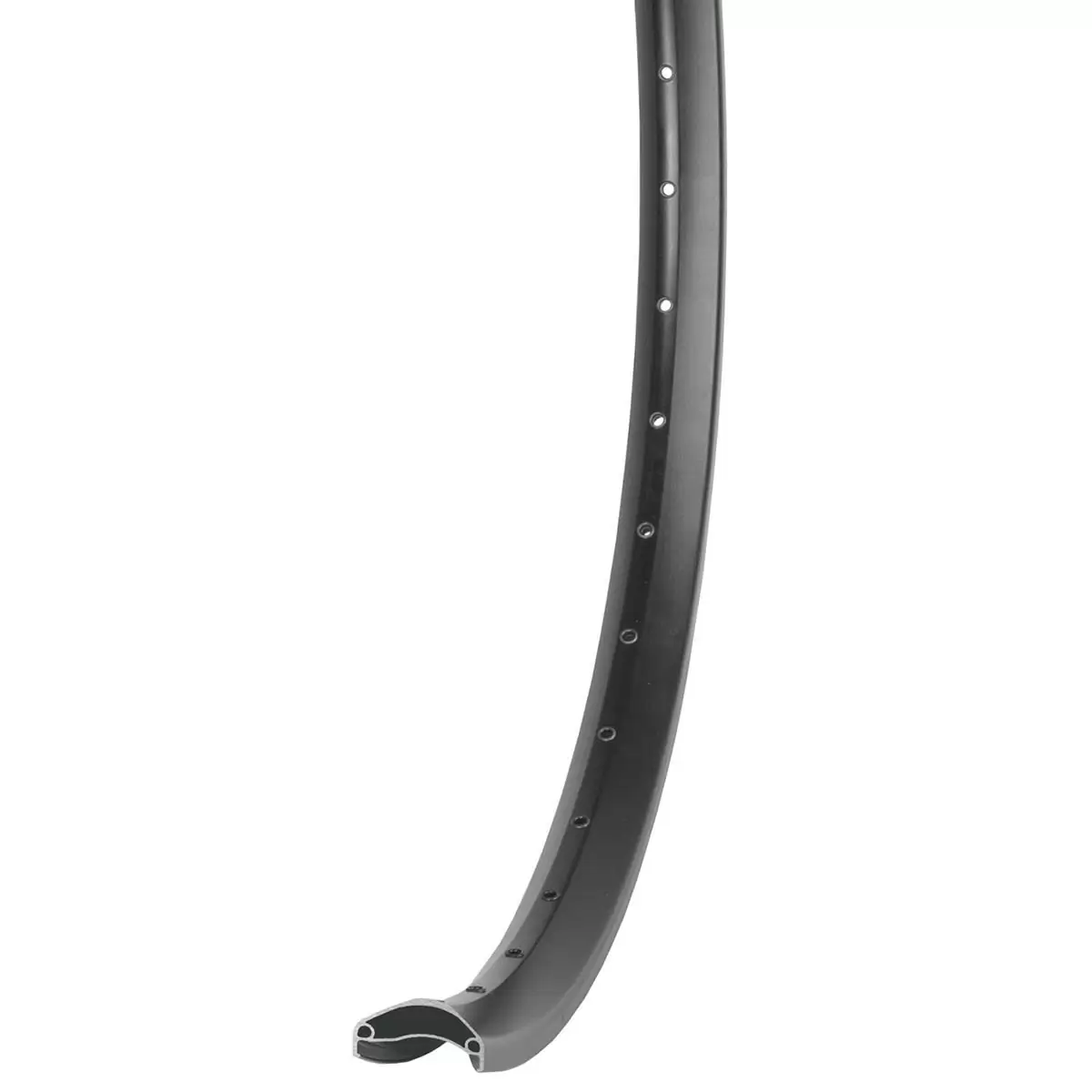 ridewill3687104