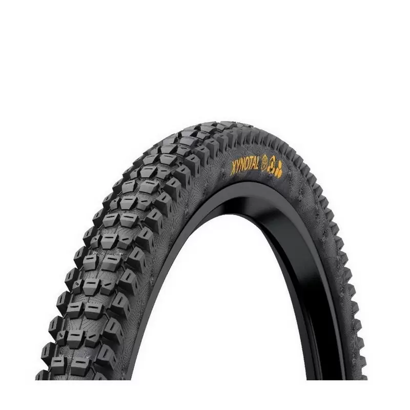 ridewill3695409