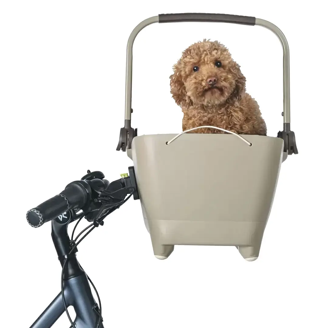 ridewill3700085