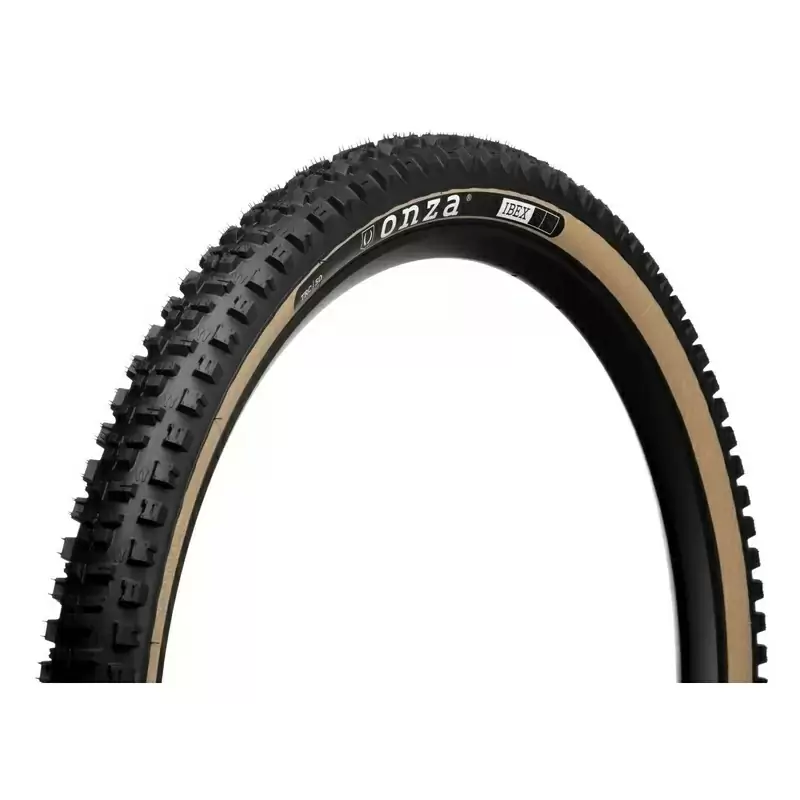 ridewill3719305