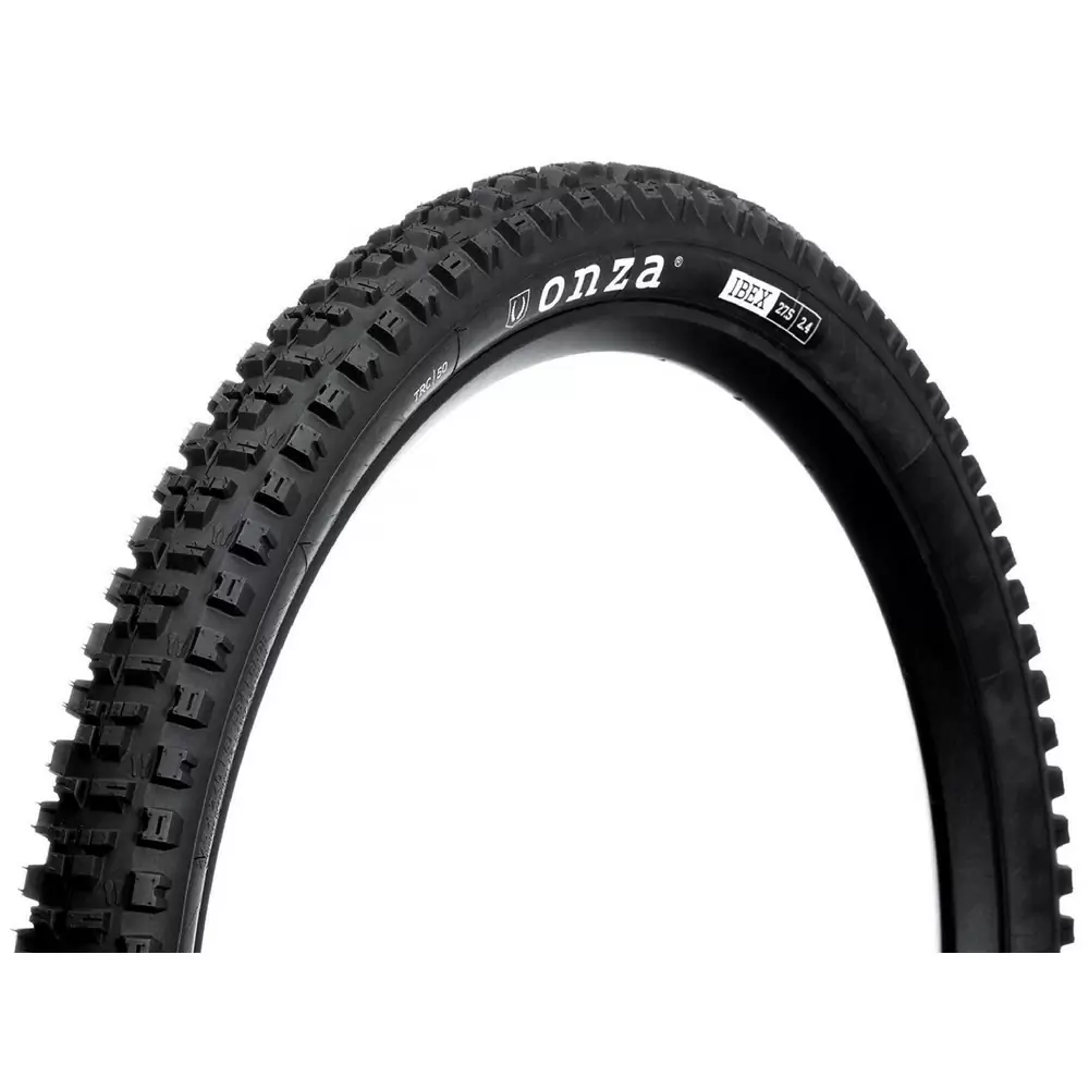 ridewill3719326