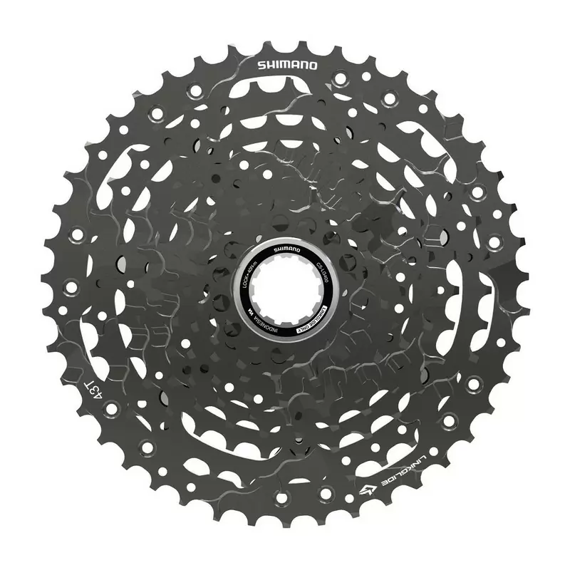 ridewill3734917