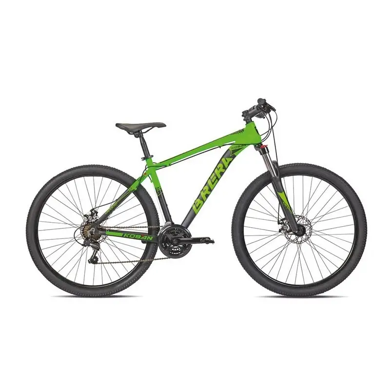 ridewill3753411