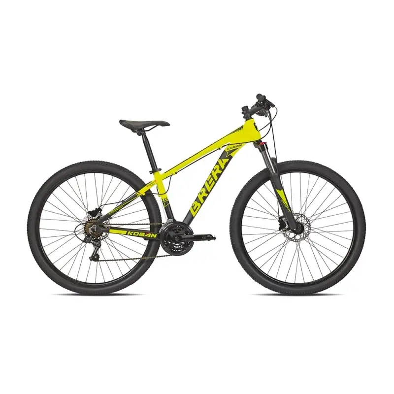 ridewill3753547