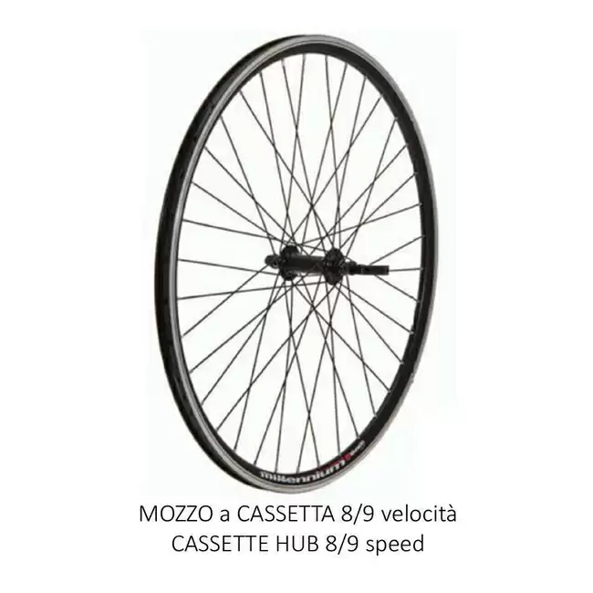 ridewill3756518