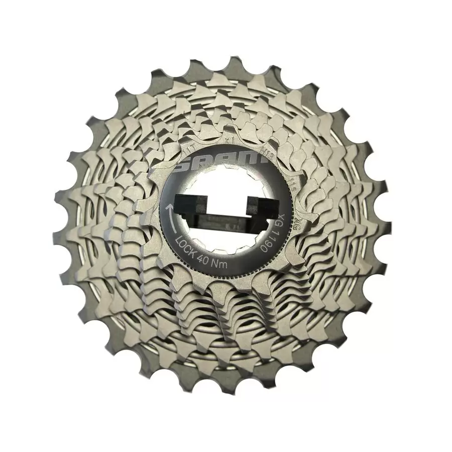 ridewill3778149