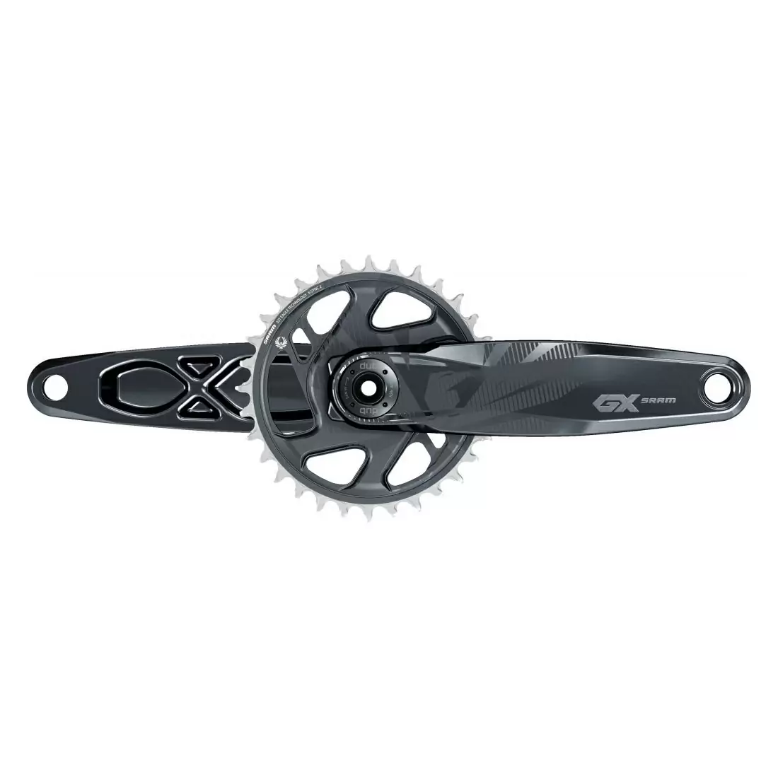 ridewill3779876