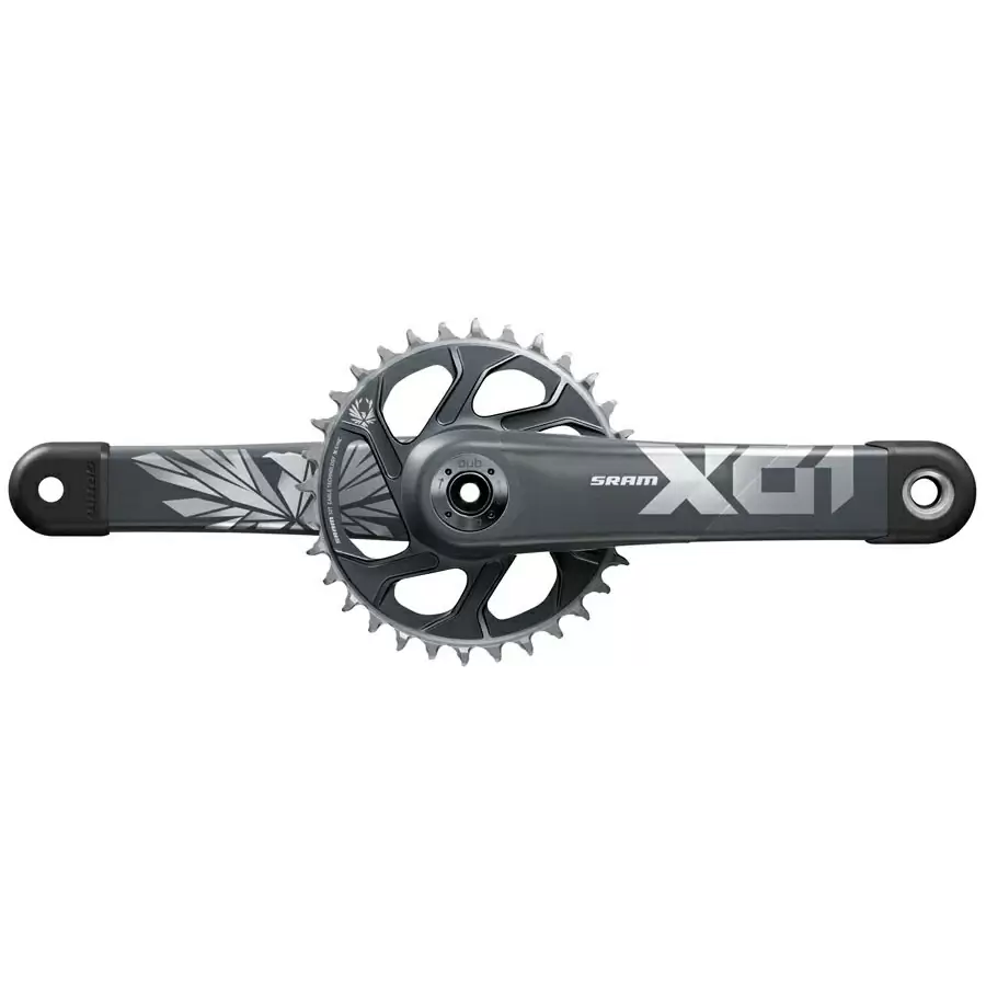 ridewill3781423
