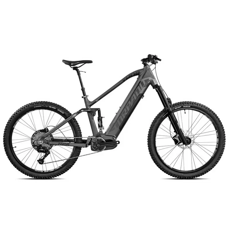 ridewill3791454