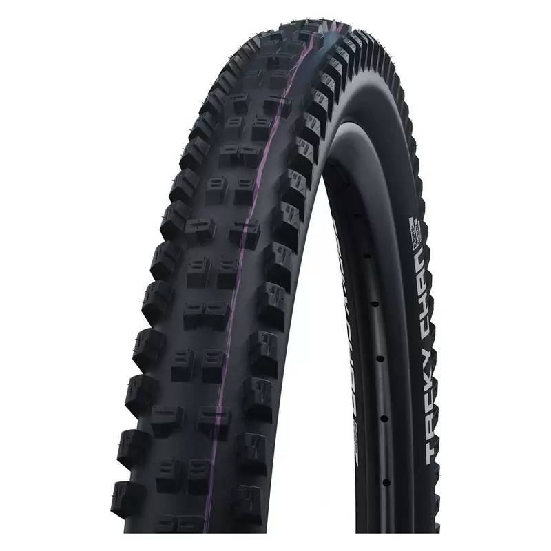 ridewill3792169