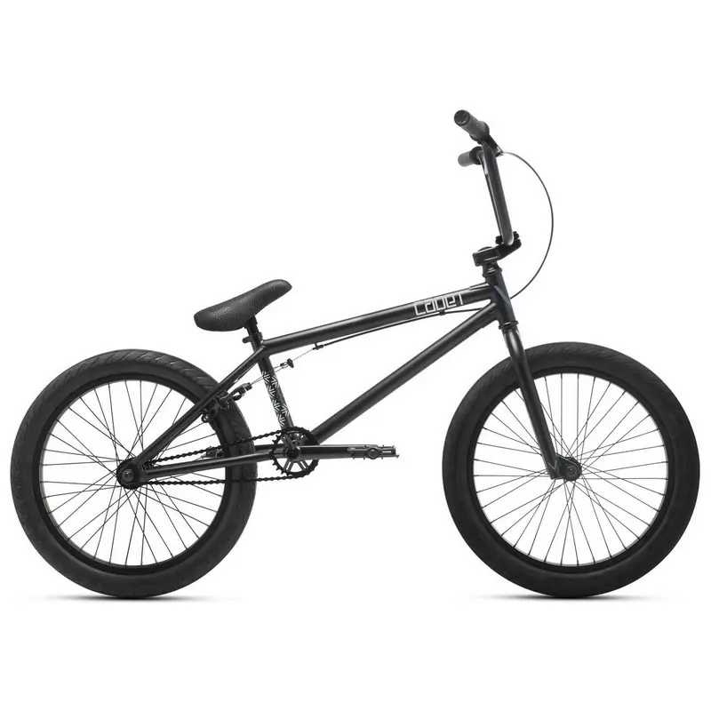 ridewill3807825