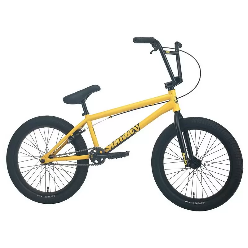 ridewill3817294