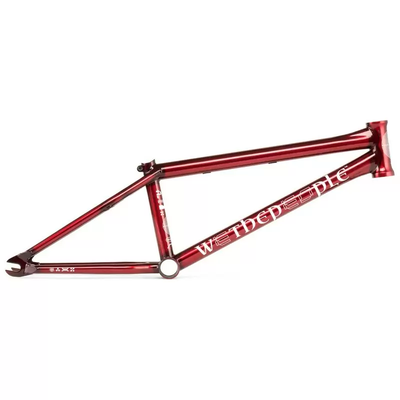 ridewill3819857